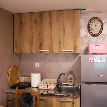 Vikendica Zvezda Danica, Tara 펜션