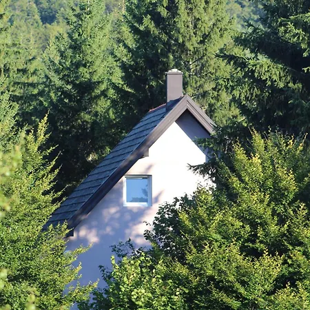 Vikendica Zvezda Danica, Tara Semesterbostad *