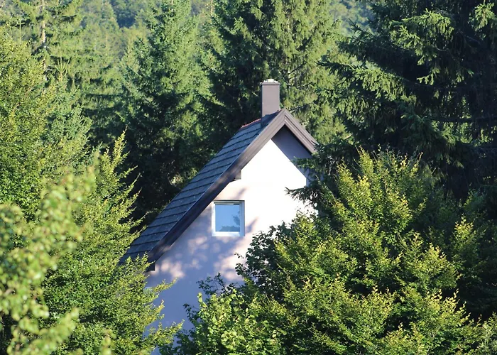 Vikendica Zvezda Danica, Tara 度假居 *